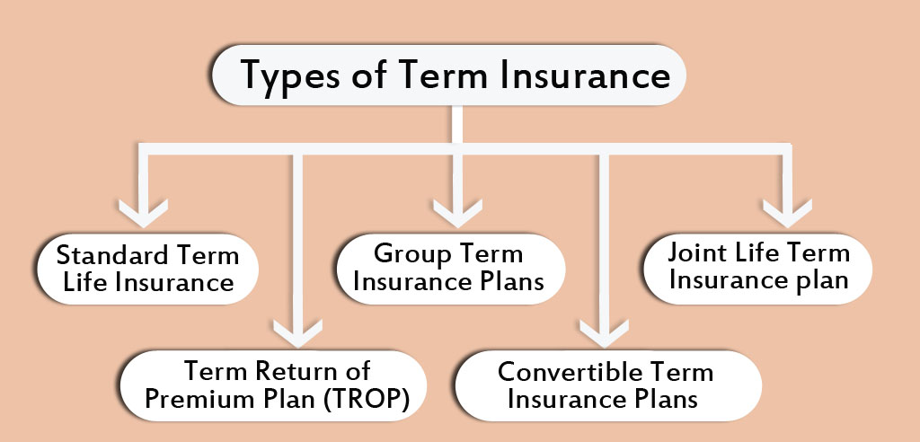 Types_of_Term_Insurance 
