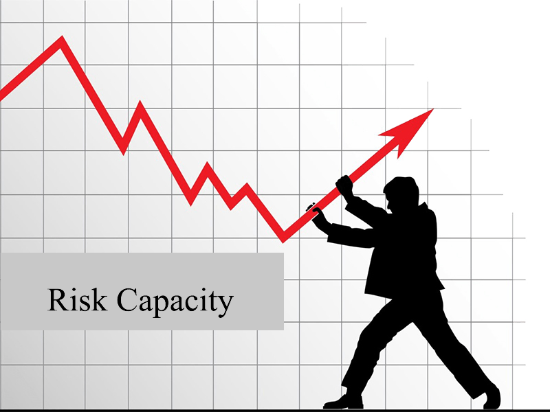 Risk capacity